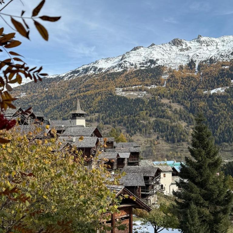 La Grangette - Chalet mit 1 Schlafzimmer - 23