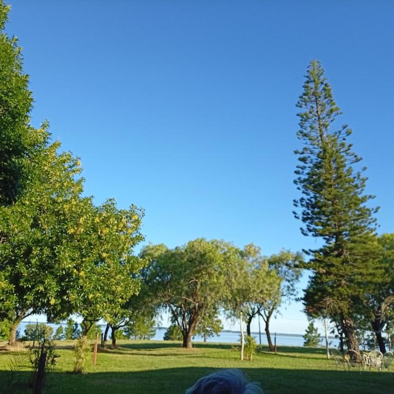 Finca Re Mar 2 - One-Bedroom House - 3