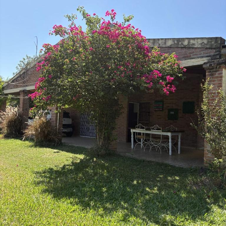Quinta La Paz - Four-Bedroom House - 17