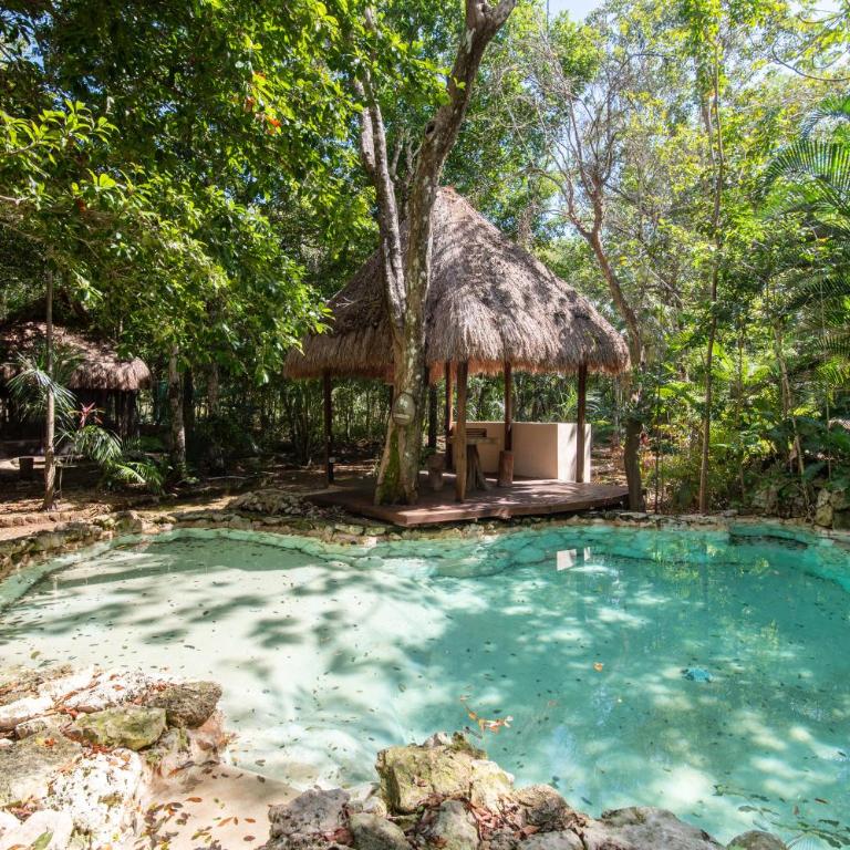 Private Jungle Villa with Full Kitchen & Pool Access - Apartamento - Planta baja - 17