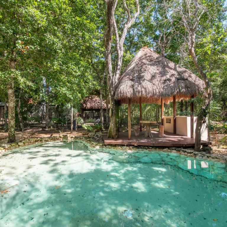 Private Jungle Villa with Full Kitchen & Pool Access - Apartamento - Planta baja - 19
