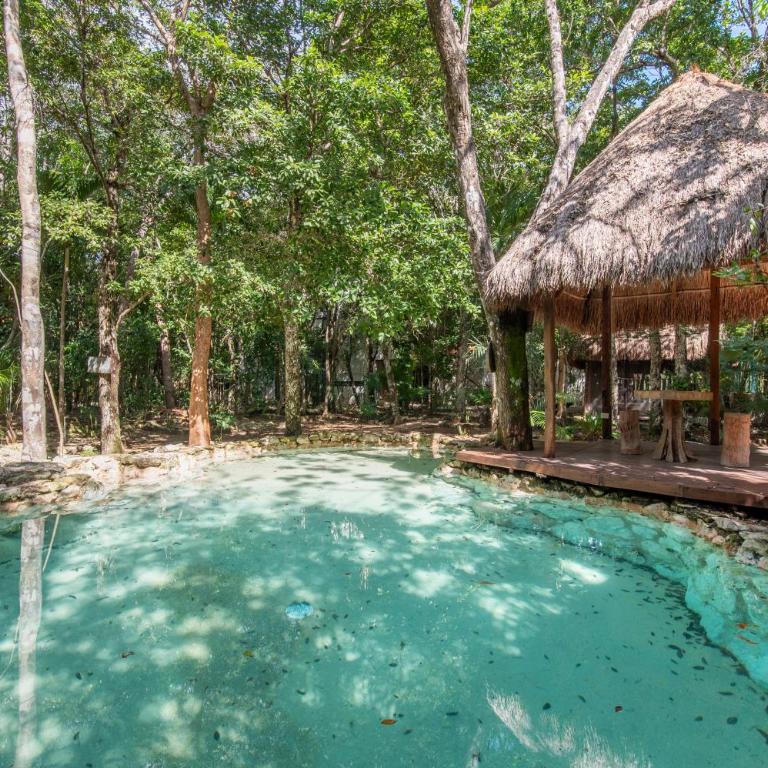 Private Jungle Villa with Full Kitchen & Pool Access - Apartamento - Planta baja - 34