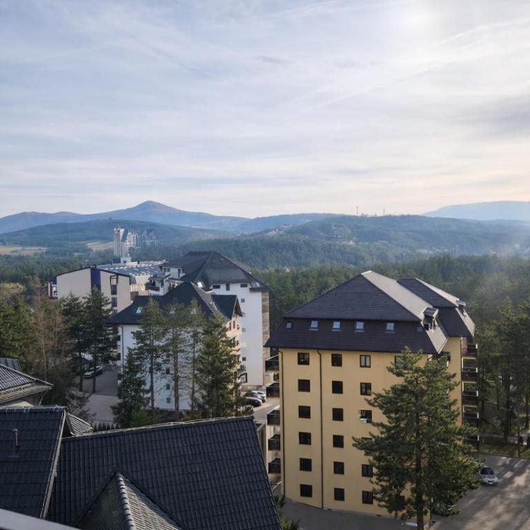 21st Century Zlatibor Residence - Luxury Apartment with View and Garage - Two-Bedroom Apartment with Terrace - 17