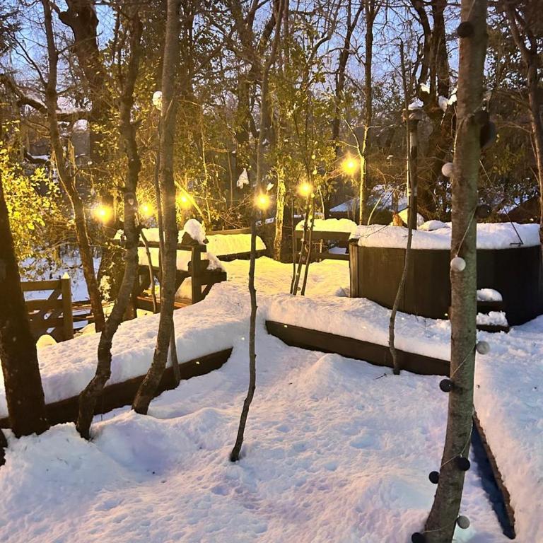 Refugio de Montaña - Las Trancas - Termas de Chillan - Casa de 4 dormitorios - 16