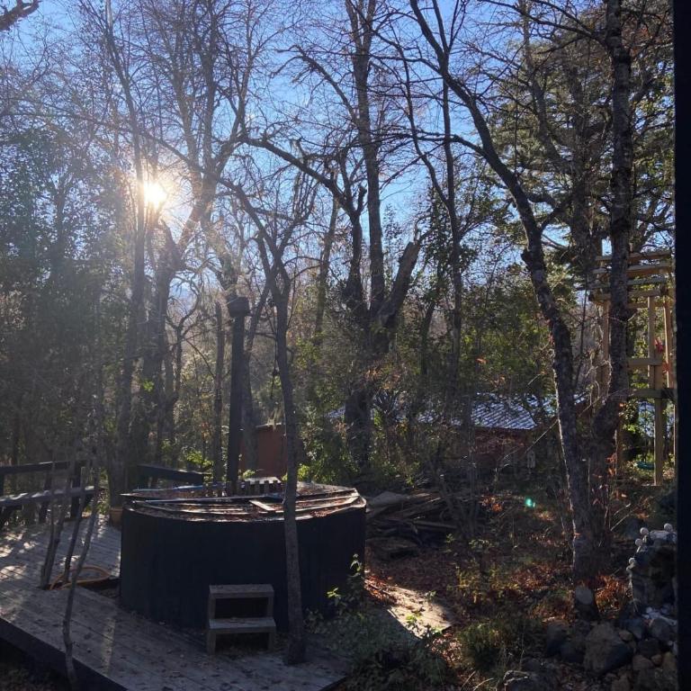 Refugio de Montaña - Las Trancas - Termas de Chillan - Casa de 4 dormitorios - 17
