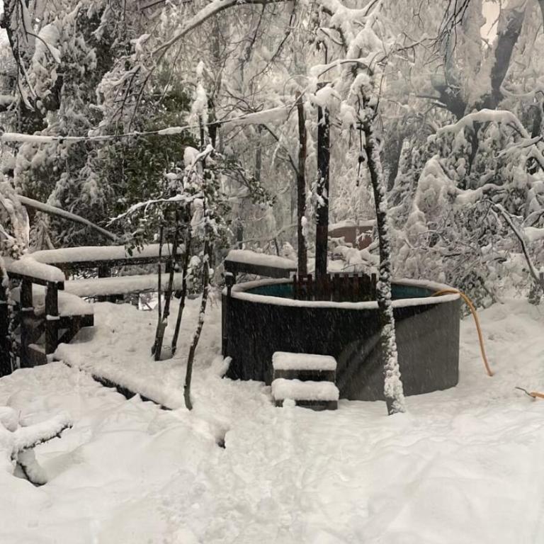 Refugio de Montaña - Las Trancas - Termas de Chillan - Casa de 4 dormitorios - 18