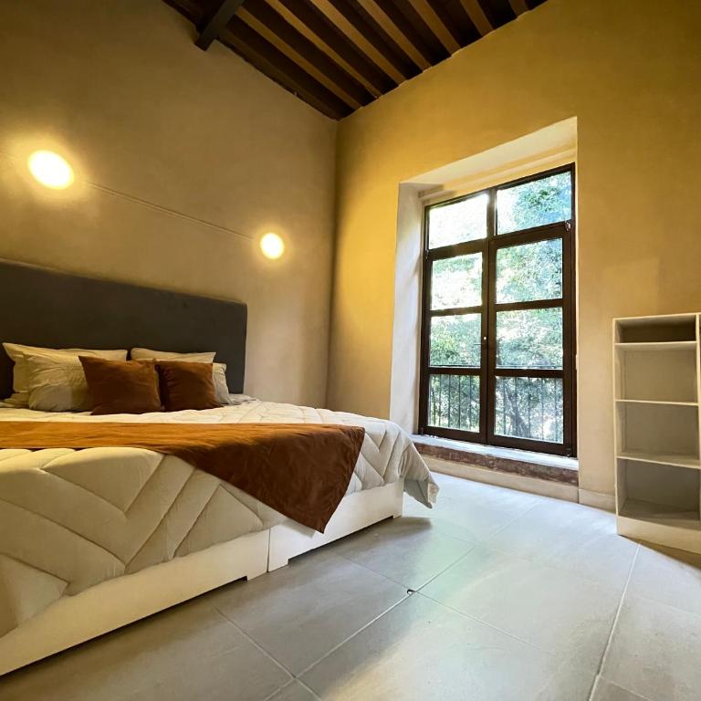 Colmena Hotel CDMX Centro - Suite Deluxe con cama extragrande - 2