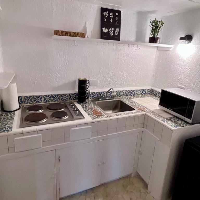 PH Belgrado 19, Mexico City, one block from the Angel of Independence - Two-Bedroom Apartment - 21