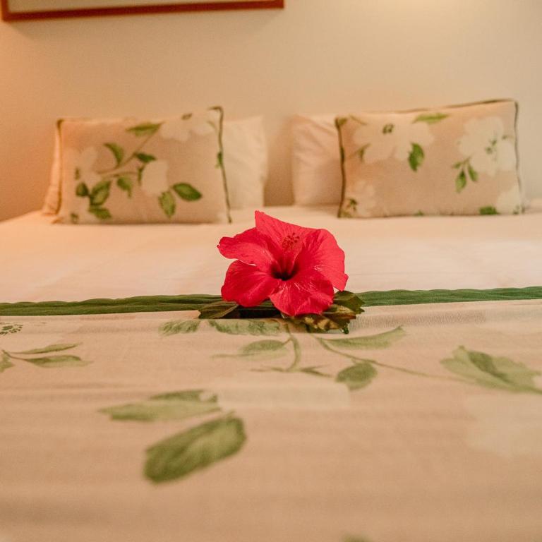 Taha Tai - Double Room - 17