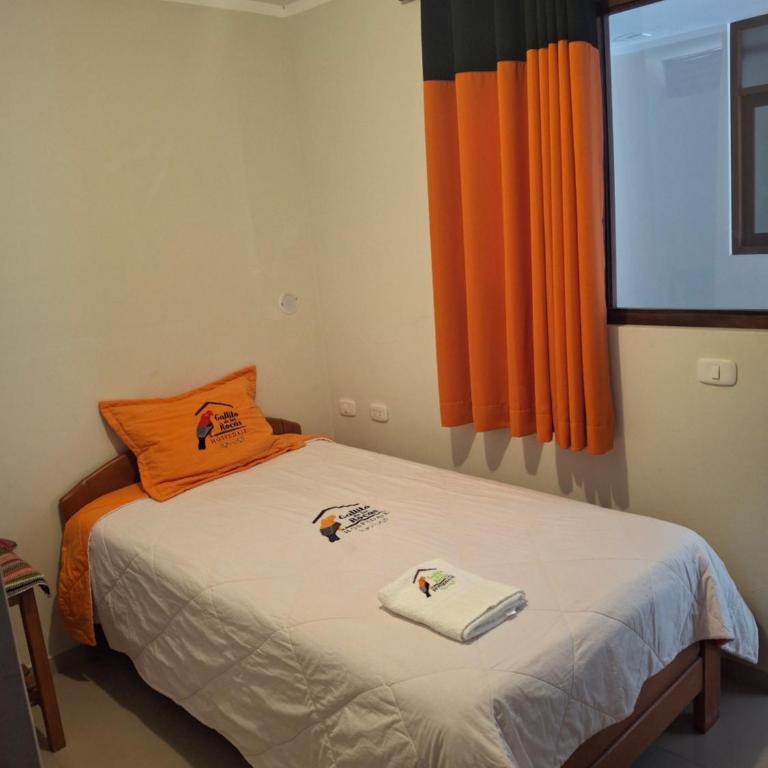 Gallito de las Rocas Lodge - Habitación Estándar - 1 cama grande - 5