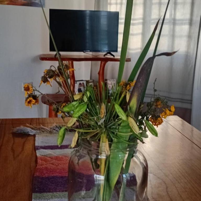 Almanza Posada de Descanso - Apartamento de 1 dormitorio - 40