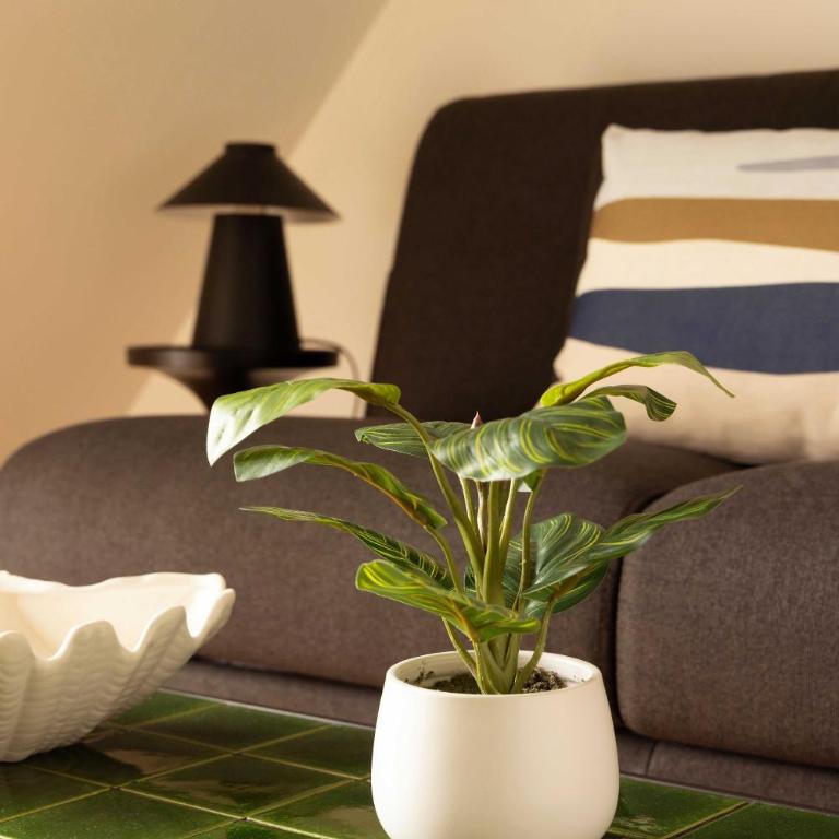 Charming studio A C 2P- Montorgueil - Studio - 3