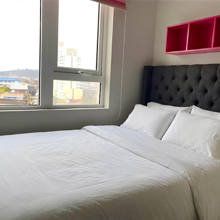 Luxurious Accessible Apartment in Scenic Llanquihue, Chile - Apartamento - 15