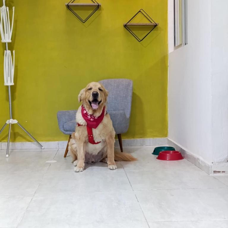 Cielo cafetero I loft moderno - Three-Bedroom Apartment - 1