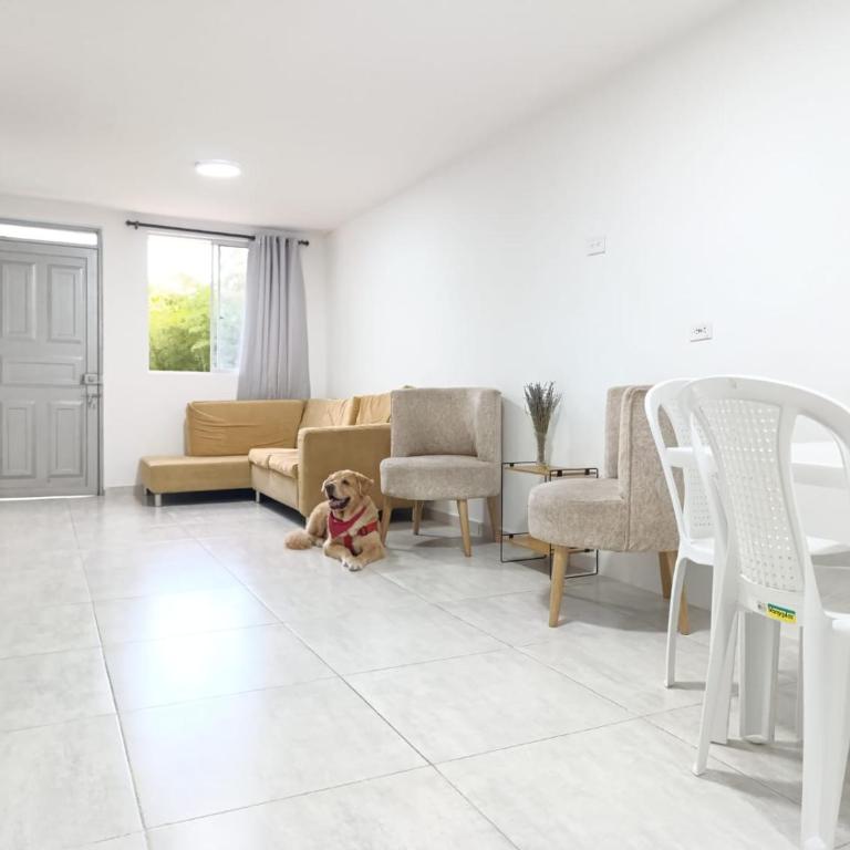 Cielo cafetero I loft moderno - Three-Bedroom Apartment - 11