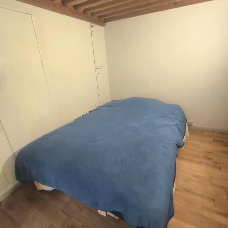 Chatelet Petit Cosy Studio - Appartement 1 Chambre - 3