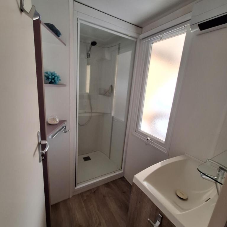 Le cocon des pins - Mobile Home - 15