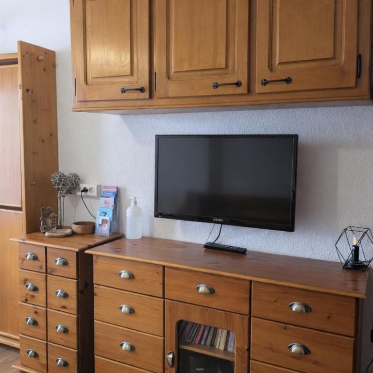 Appartement - Prapoutel - Les Adrets - 7 Laux - Apartamento Estudio - 9