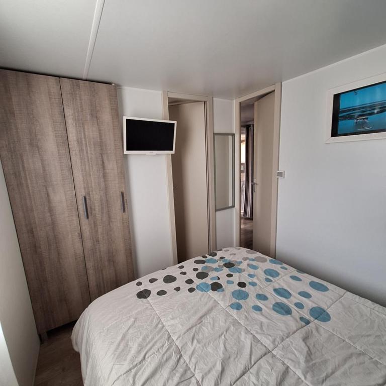 Le cocon des pins - Mobile Home - 13