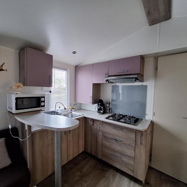 Le cocon des pins - Mobile Home - 9