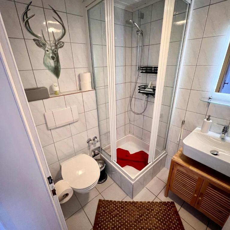 Almsternchen - Wohnung Almsternchen 2 oder 3 - bitte auswählen - Apartment mit 1 Schlafzimmer und Balkon - 9