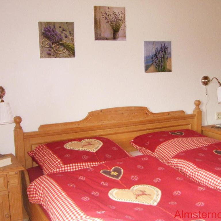 Almsternchen - Wohnung Almsternchen 2 oder 3 - bitte auswählen - Apartment mit 1 Schlafzimmer - 6