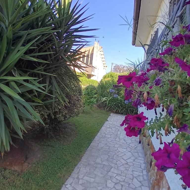 Villa Caterina - Villa con 3 Camere da Letto - 21