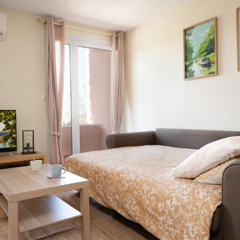 Appart climatisé Canal du Midi - Toulouse - Parking Privé - 10 min jardin des plantes - One-Bedroom Apartment - 29