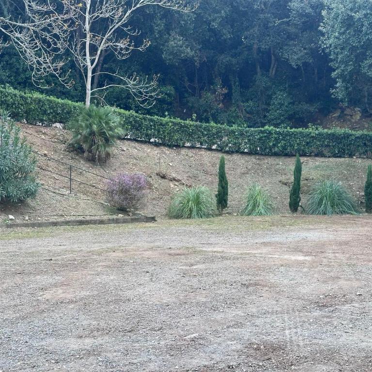 Circe monolocale vista mare a Bagnaia - Appartamento con 1 Camera da Letto - 20