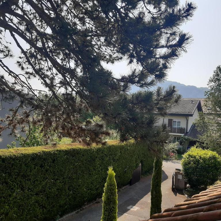 Villa & Garden & Peace - Villa - 57