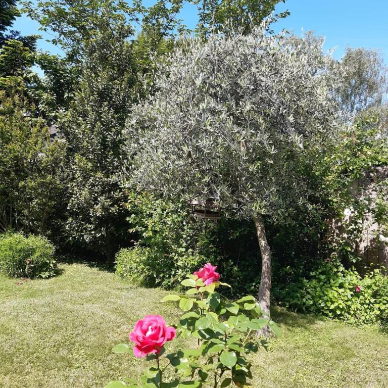 Villa & Garden & Peace - Villa - 59