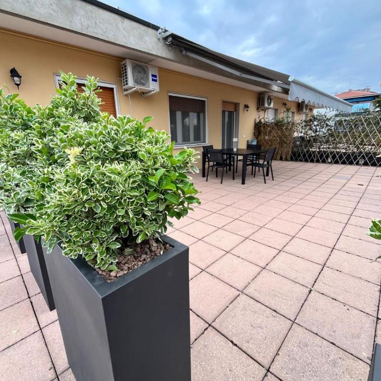 Baba Yaga Apartments - Appartamento con Terrazza - 2