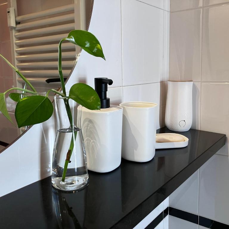 Little Cibrario - Appartamento con 1 Camera da Letto - 13