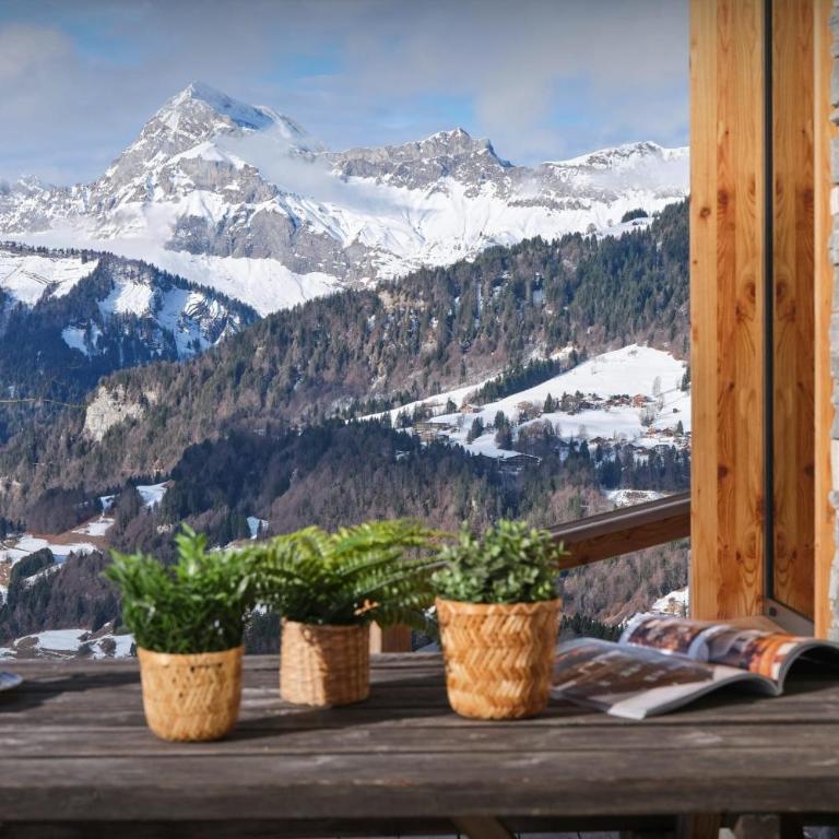 Chalet Panorea - OVO Network - Chalet - 6
