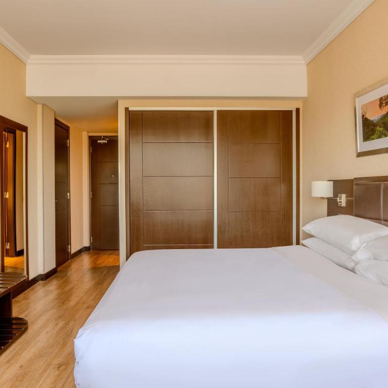 Marriott Hotel Buenos Aires Ezeiza Airport - Deluxe King Room - 3