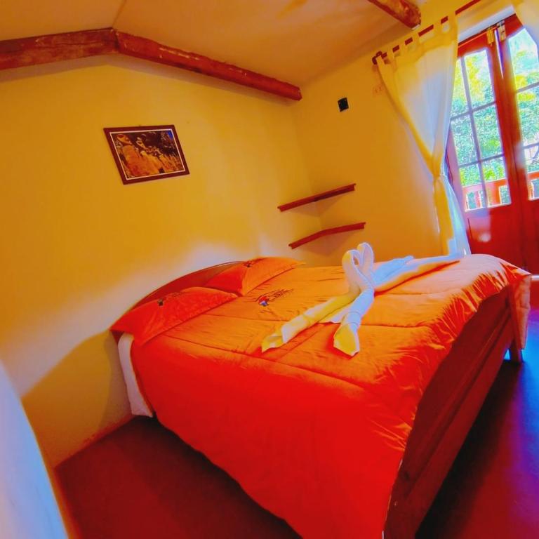 Gallito de las Rocas Lodge - Habitación Estándar - 1 cama grande - 3