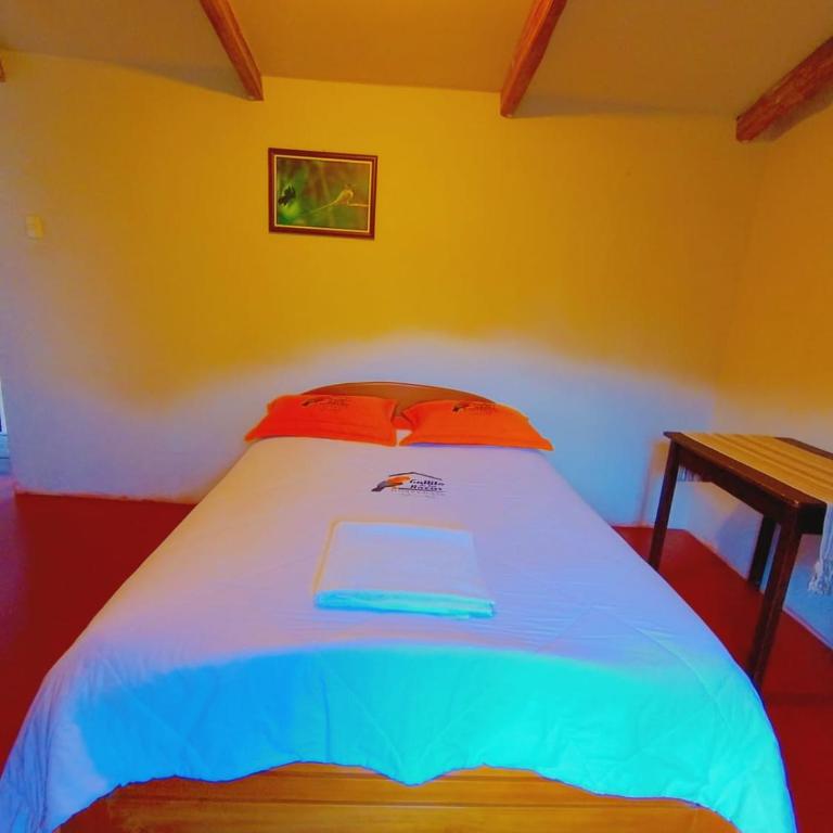 Gallito de las Rocas Lodge - Habitación Individual Deluxe - 1