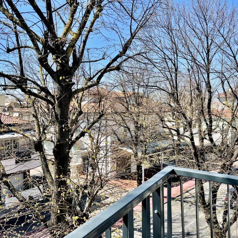 Bilocale a 230 mt dal mare WiFi e parcheggio 1 - Appartamento - 18