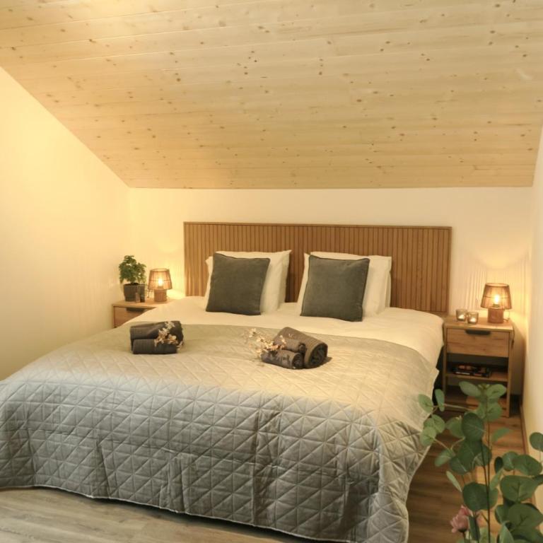Almglück I & II by Presseggersee and Nassfeld Ski - Haus mit 3 Schlafzimmern - 25