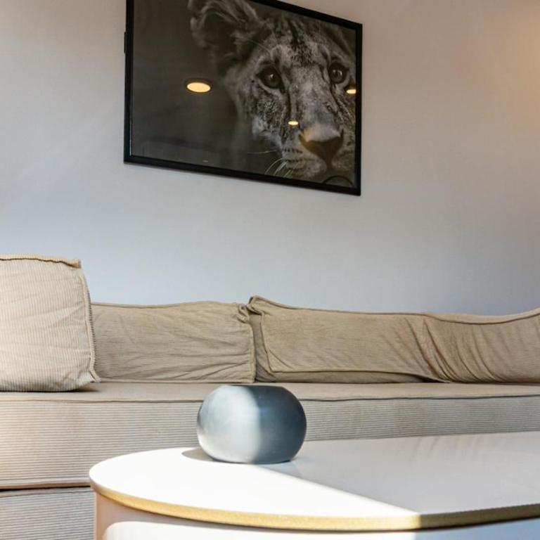 Pantera Studio Equipetrol - Two-Bedroom Apartment - 11