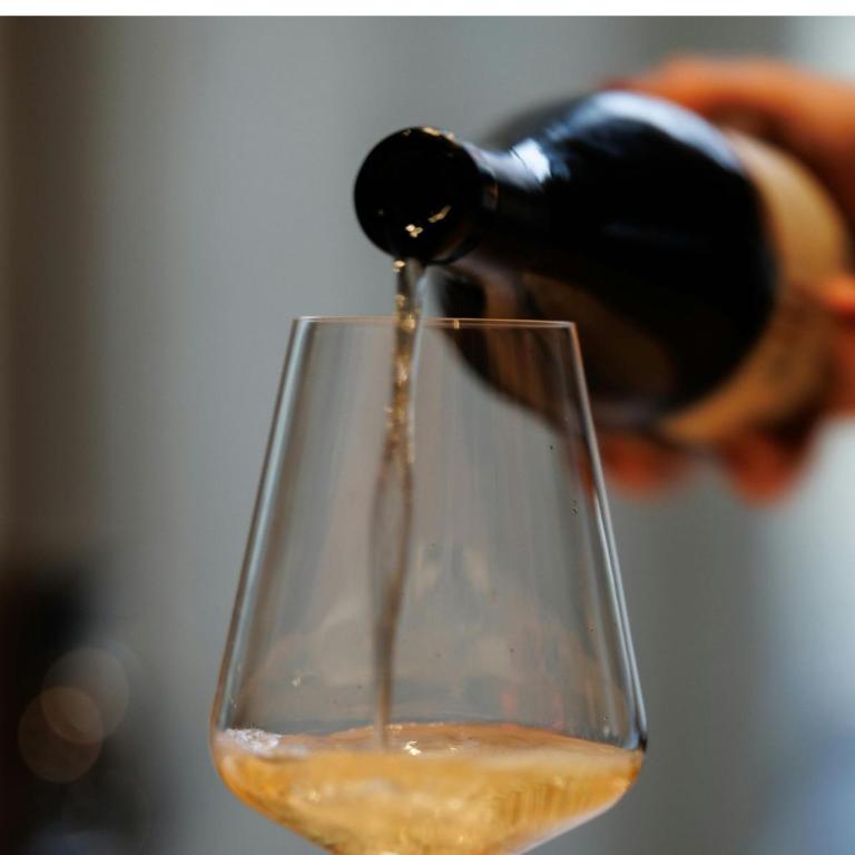 Montebay Studio - One-Bedroom Apartment - 7