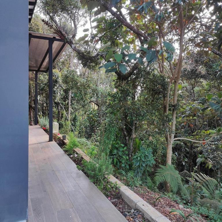 Boutique in the Forest Natural Refuge - Villa de 1 dormitorio - 17