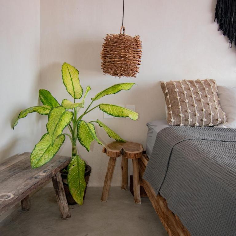 Vida Tulum Jungle apartment incl Rooftop Pool - Apartamento de 1 dormitorio - 43