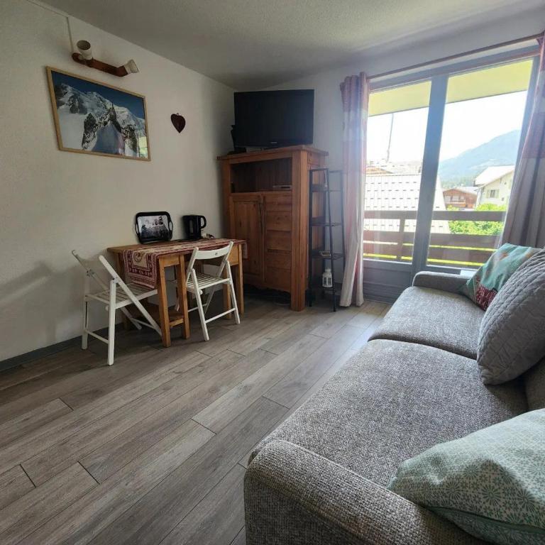 Studio 19m² à Samoëns, 4 pers, animaux admis, parking - FR-1-629-144 - Estudio - 9