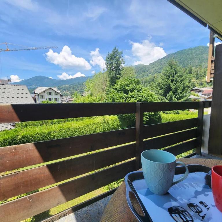 Studio 19m² à Samoëns, 4 pers, animaux admis, parking - FR-1-629-144 - Estudio - 10