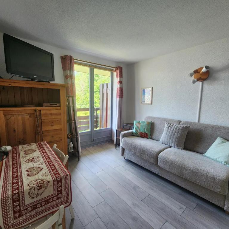 Studio 19m² à Samoëns, 4 pers, animaux admis, parking - FR-1-629-144 - Estudio - 1