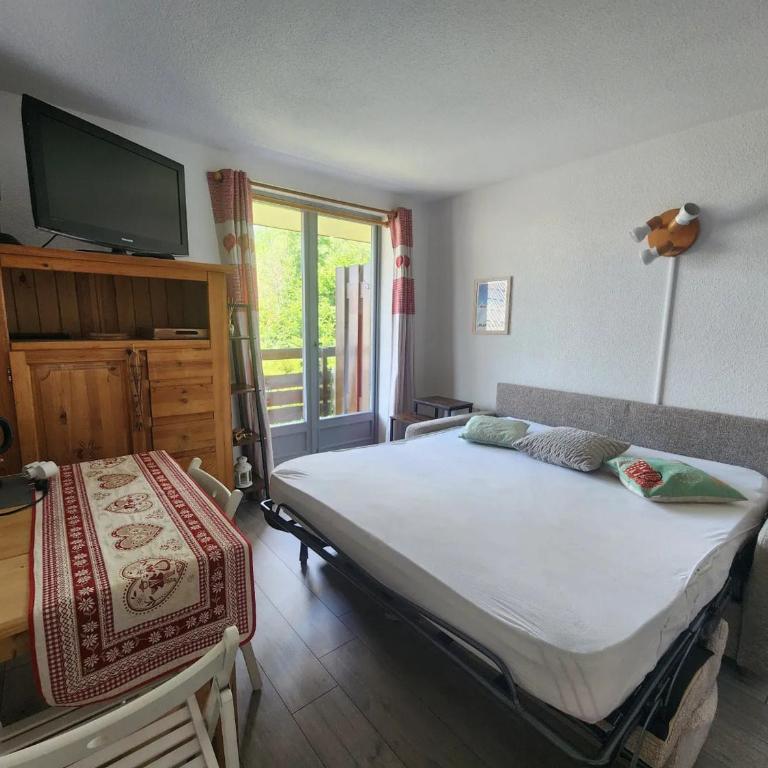 Studio 19m² à Samoëns, 4 pers, animaux admis, parking - FR-1-629-144 - Estudio - 13