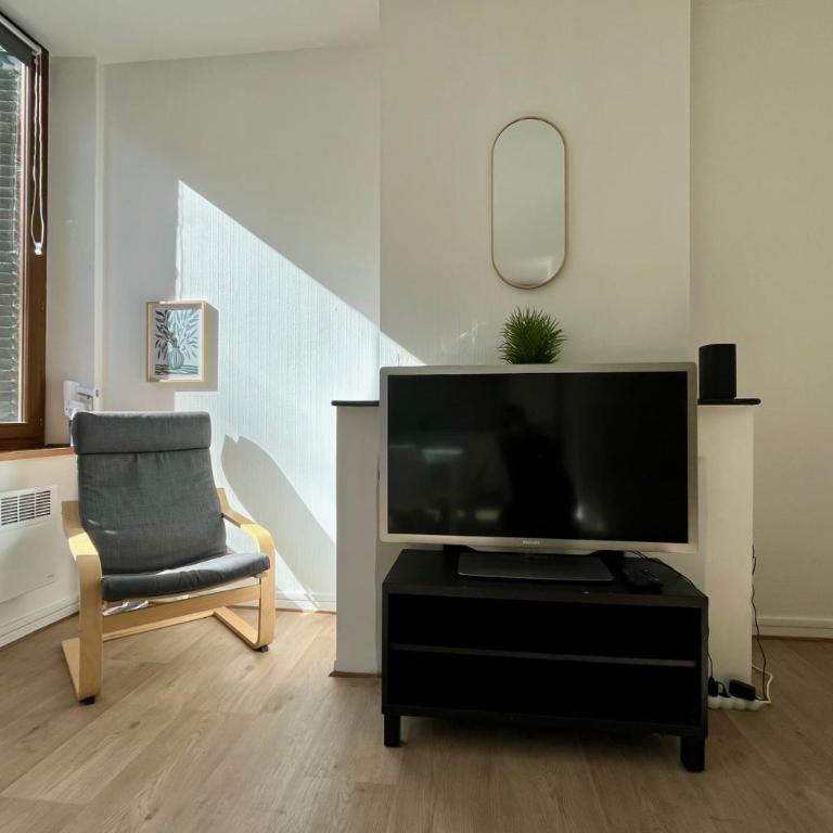 Le Raugraff logement 4p Nancy Centre ville - Appartement - 5