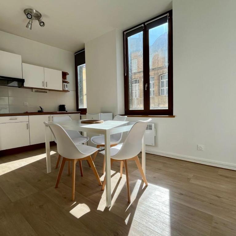 Le Raugraff logement 4p Nancy Centre ville - Appartement - 2