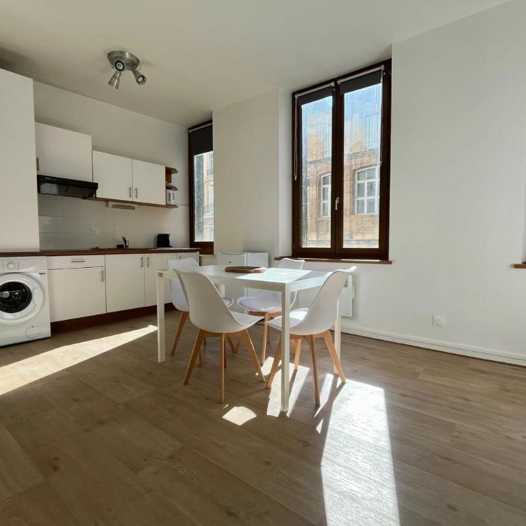 Le Raugraff logement 4p Nancy Centre ville - Appartement - 7